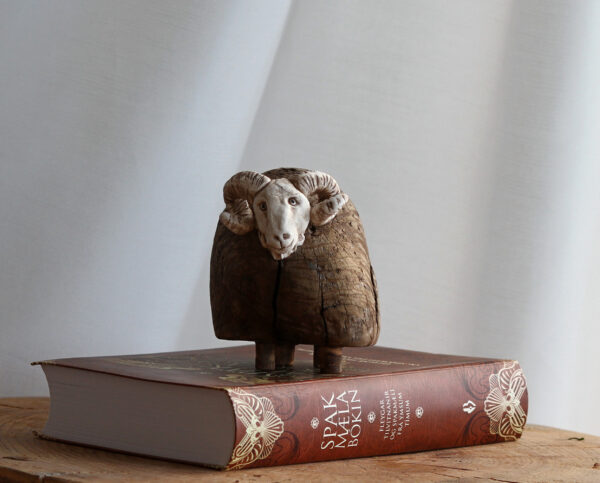 Hrútur - Icelandic ram