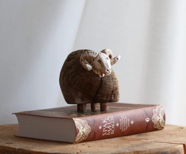 Hrútur - Icelandic ram - Image 3