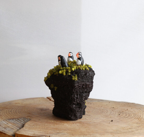 Puffins - Image 3