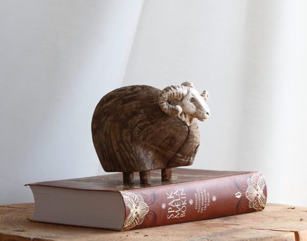 Hrútur - Icelandic ram - Image 4