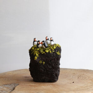 Puffins