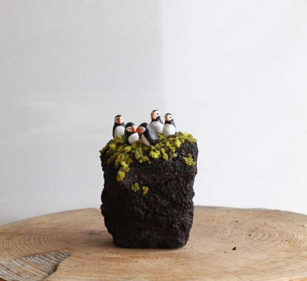 Puffins