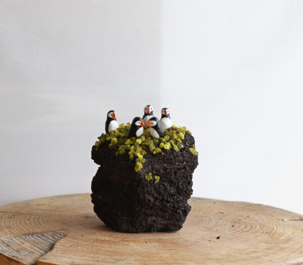Puffins - Image 5