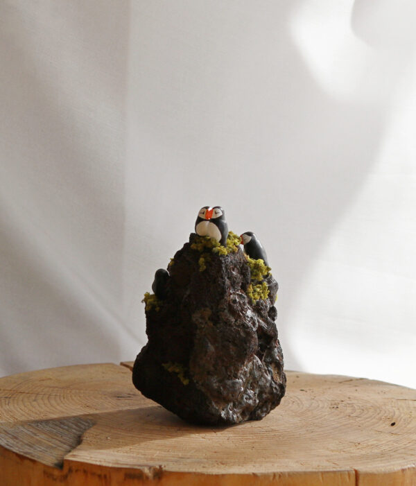 Puffins #2 - Image 7