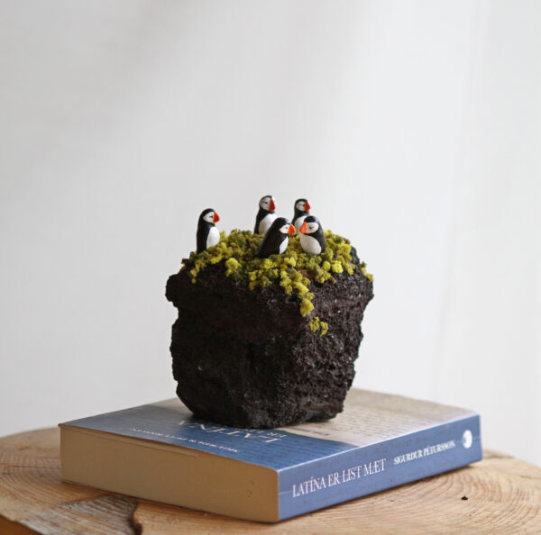 Puffins - Image 6
