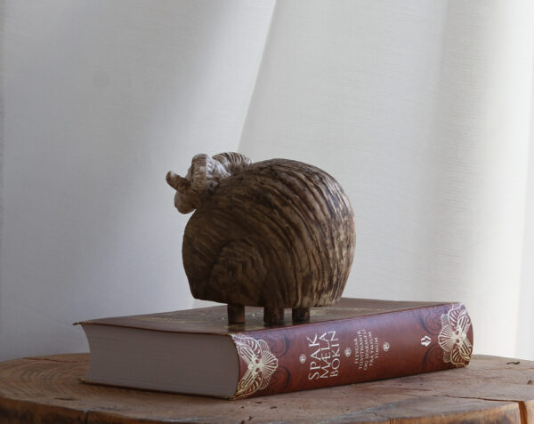 Hrútur - Icelandic ram - Image 8