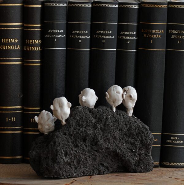 Five together - Image 9