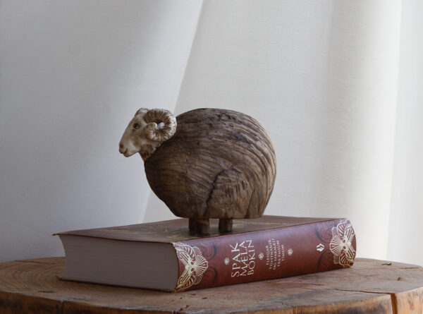 Hrútur - Icelandic ram - Image 9