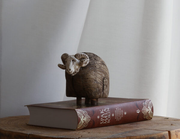 Hrútur - Icelandic ram - Image 10