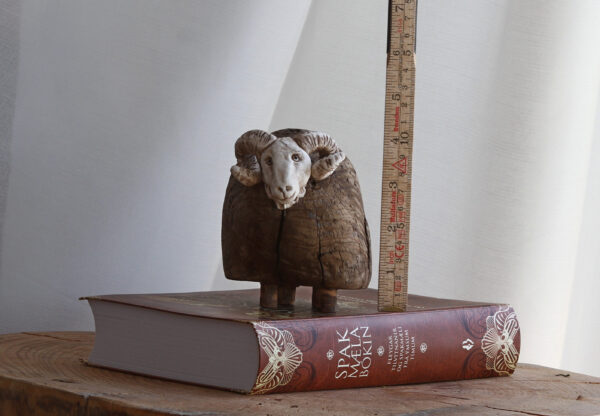 Hrútur - Icelandic ram - Image 11