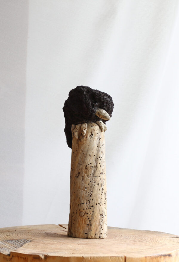 Krummi - Image 3