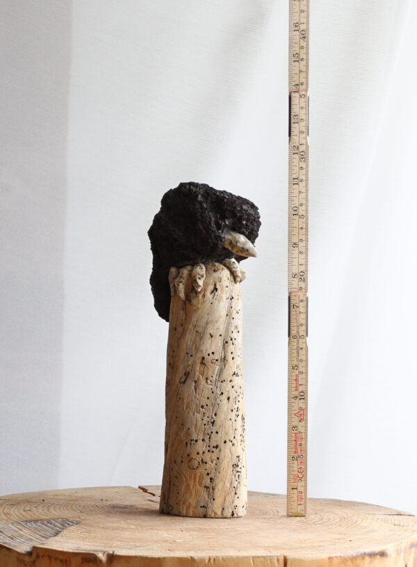 Krummi - Image 4