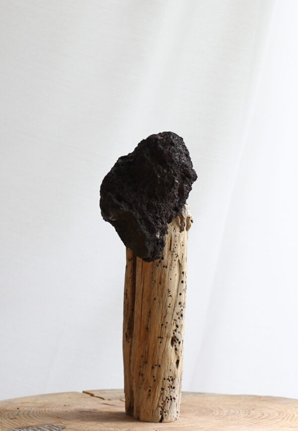 Krummi - Image 5