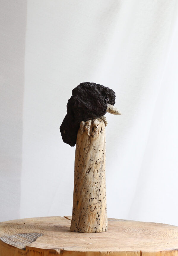 Krummi - Image 10