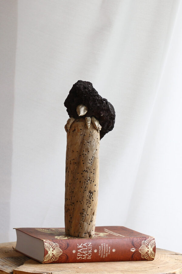 Krummi - Image 7