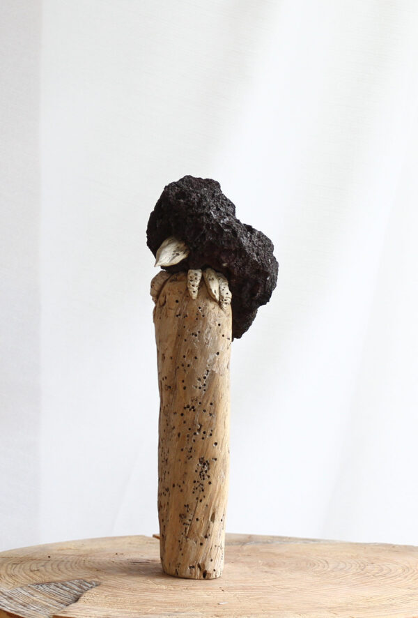 Krummi - Image 8