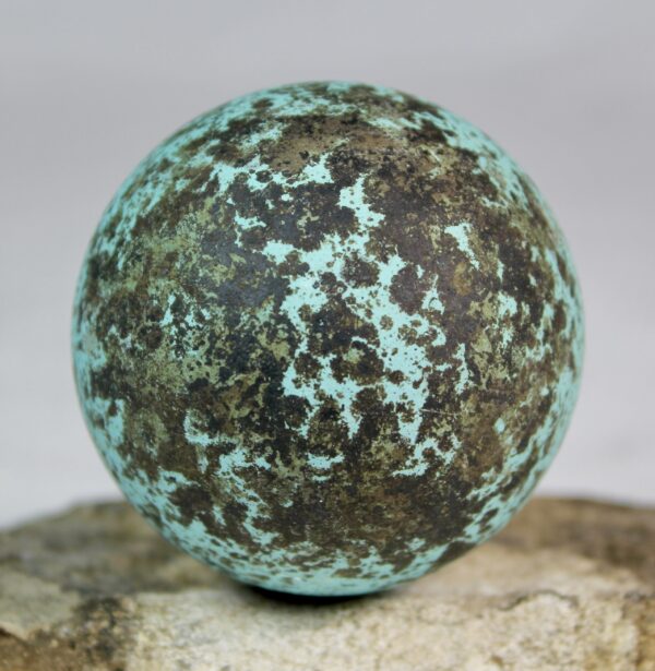 Brunnich´s guillemot egg  # 8 - Image 4